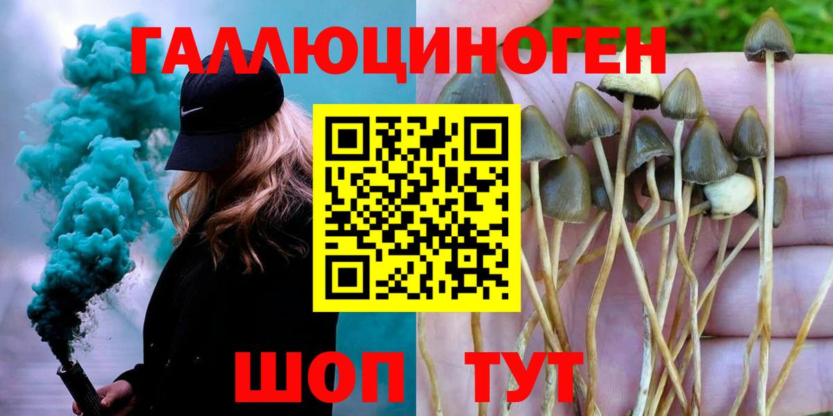 Реж  что такое   Вход с VPN  Галлюциногенные грибы GOLDEN TEACHER 