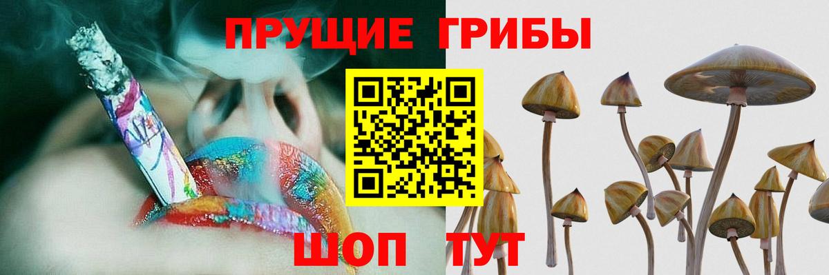 Галлюциногенные грибы MAGIC MUSHROOMS Реж